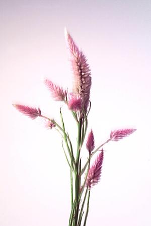 横浜エリアで最大級！タカラスタンダード横浜ショールームの魅力徹底解説